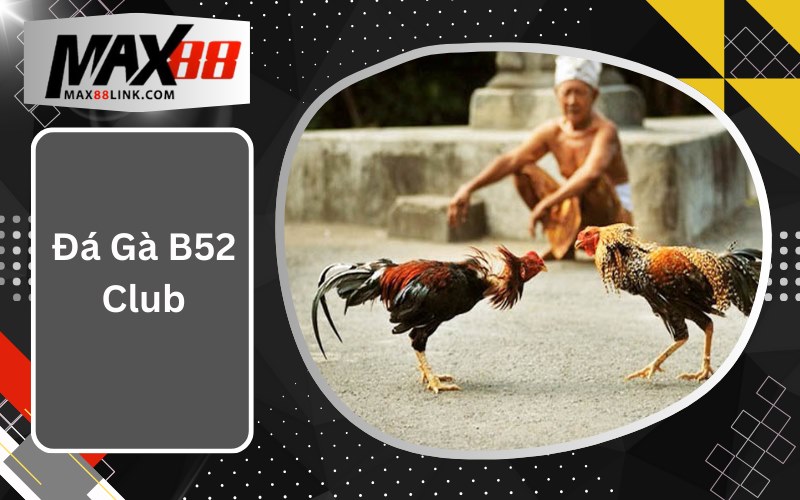 Đá Gà B52 Club