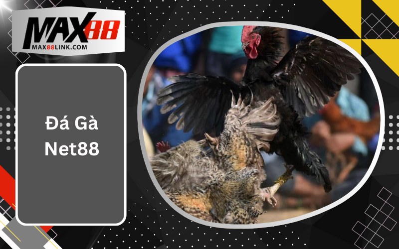 Đá Gà Net88